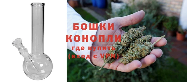 бошки Бронницы
